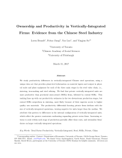 Ownership and Productivity in Vertically
