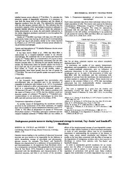 Endogenous protein turnover during lysosomal storage in normal