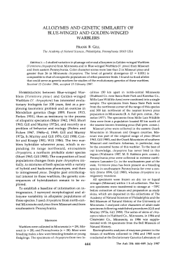 allozymes and genetic similarity of blue-winged and golden