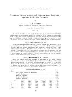 Tasmanian littoral Spiders with Notes on their Respiratory Systems