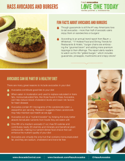 hass avocados and burgers