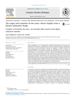 The origin and evolution of the sexes: Novel insights from a