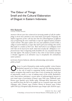 The Odour of Things: Smell and the Cultural Elaboration of Disgust