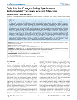 Selective Ion Changes during Spontaneous Mitochondrial