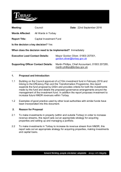 Capital Investment Fund PDF 371 KB