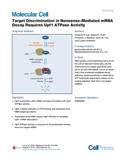 Target discrimination in nonsense-mediated mRNA decay