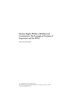Human Rights Within a Multilayered Constitution: The Example of