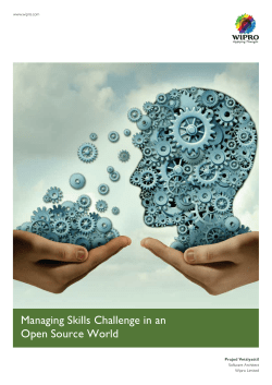 Managing Skills Challenge in an Open Source World