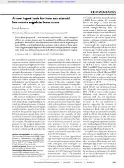 A new hypothesis for how sex steroid hormones regulate bone mass
