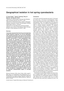Geographical isolation in hot spring cyanobacteria