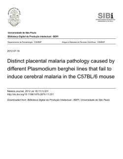 Distinct placental malaria pathology caused by different