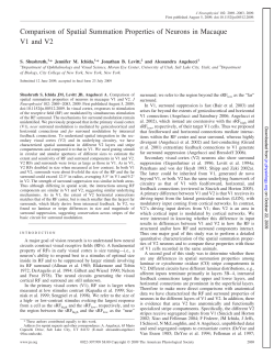 Comparison of Spatial Summation Properties of