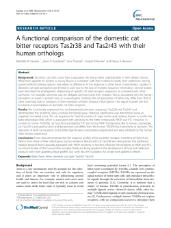 A functional comparison of the domestic cat bitter receptors Tas2r38