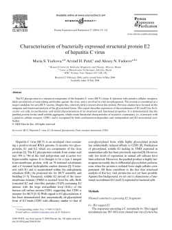 Characterisation of bacterially expressed structural protein E2 of