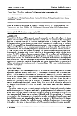 Protein kinase NII and the regulation of rDNA transcription in