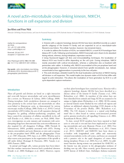 A novel actinmicrotubule crosslinking kinesin, NtKCH, functions in