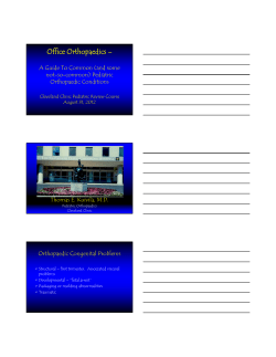 Office Orthopaedics &ndash;