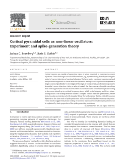 Cortical pyramidal cells as non-linear oscillators - LNC - IEC