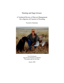 Hunting and Sage