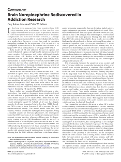 COMMENTARY Brain Norepinephrine Rediscovered in Addiction