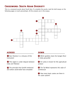 South Asian Diveristy