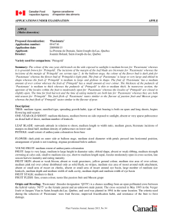 APPLICATIONS UNDER EXAMINATION APPLE Proposed