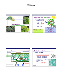 AP Biology - TeacherWeb