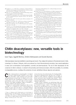 Chitin deacetylases: new, versatile tools in biotechnology