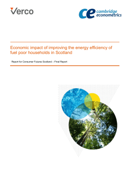Economic impact of improving the energy efficiency of fuel poor