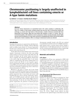 Chromosome positioning is largely unaffected in lymphoblastoid cell