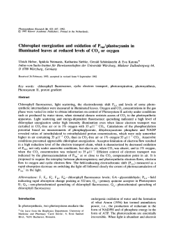 Chloroplast energization and oxidation of P