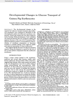 Developmental Changes in Glucose Transport of Guinea Pig