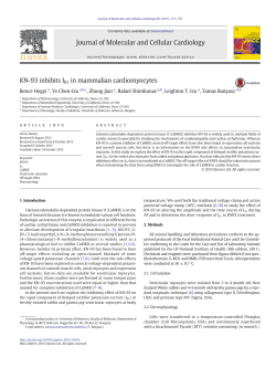 KN-93 inhibits IKr in mammalian cardiomyocytes