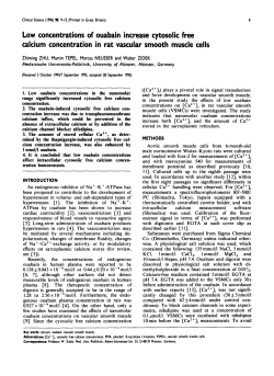 Low Concentrations of Ouabain Increase Cytosolic Free Calcium
