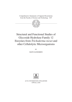 Structural and Functional Studies of Glycoside Hydrolase
