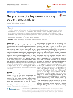 The phantoms of a high-seven - or