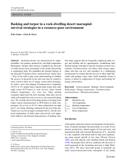 Basking and torpor in a rock-dwelling desert marsupial