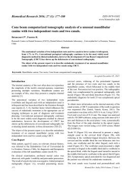 Cone beam computarized tomography analysis