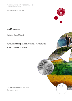 PhD thesis Hyperthermophilic archaeal viruses as novel