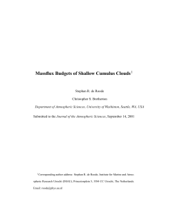 Massflux Budgets of Shallow Cumulus Clouds1