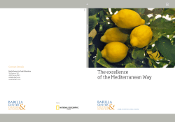 The excellence of the Mediterranean Way