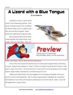A Lizard with a Blue Tongue - superteacherworksheets.com