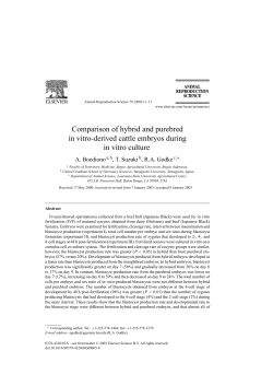 Comparison of hybrid and purebred in vitro-derived