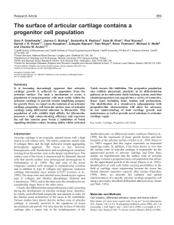 The surface of articular cartilage contains a progenitor cell population