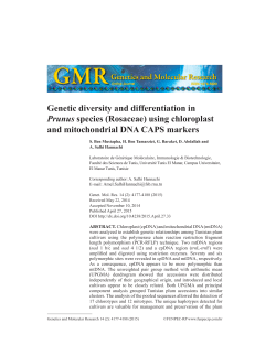 Genetic diversity and differentiation in Prunus species