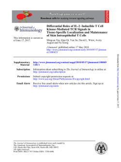 of Skin Intraepithelial T Cells Tissue