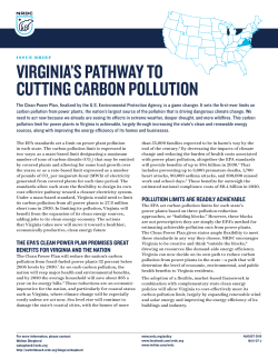 NRDC: Virginia`s Pathway to Cutting Carbon Pollution