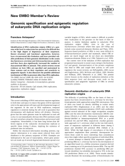 Genomic specification and epigenetic regulation of eukaryotic DNA