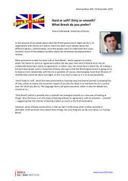 Hard or soft? Dirty or smooth? What Brexit do you prefer?