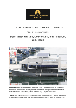 Floating photo hide Arctic Ducks and other birds 1